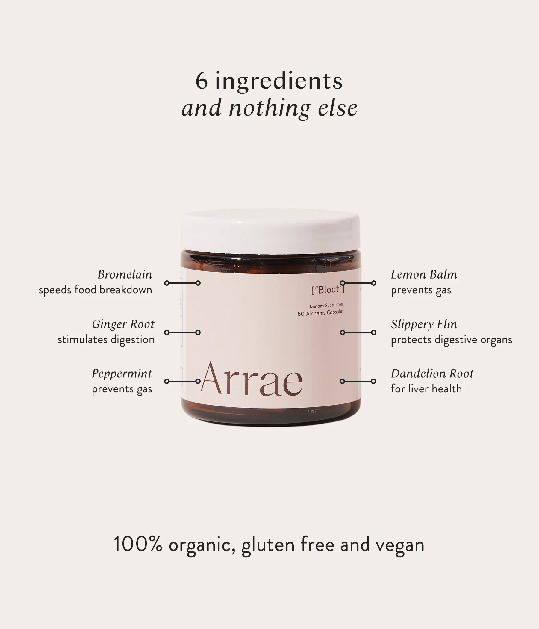 Arrae Bloat - Image 6